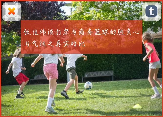 张佳玮谈打架与商务篮球的胜负心与气性之真实对比