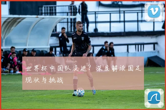 世界杯中国队没进？深度解读国足现状与挑战