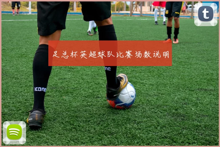 足总杯英超球队比赛场数说明
