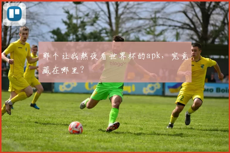 那个让我熬夜看世界杯的apk,究竟藏在哪里?