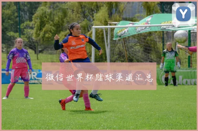 微信世界杯赌球渠道汇总