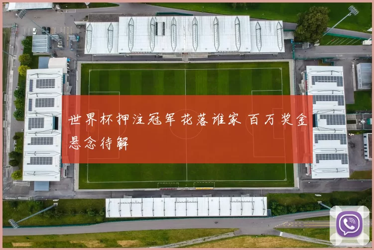 世界杯押注冠军花落谁家 百万奖金悬念待解