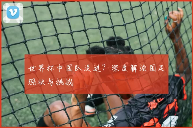 世界杯中国队没进？深度解读国足现状与挑战