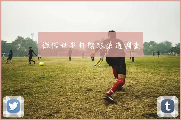 微信世界杯赌球渠道调查