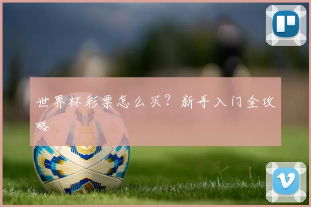 世界杯彩票怎么买?新手入门全攻略
