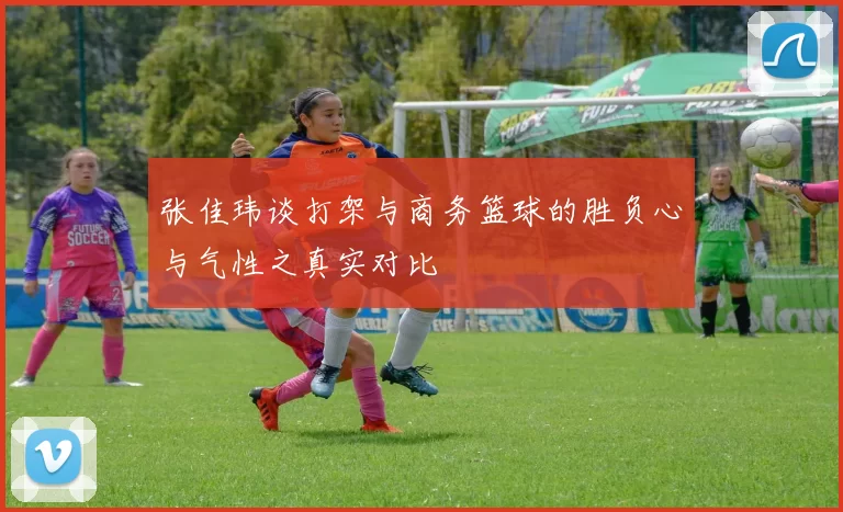 张佳玮谈打架与商务篮球的胜负心与气性之真实对比