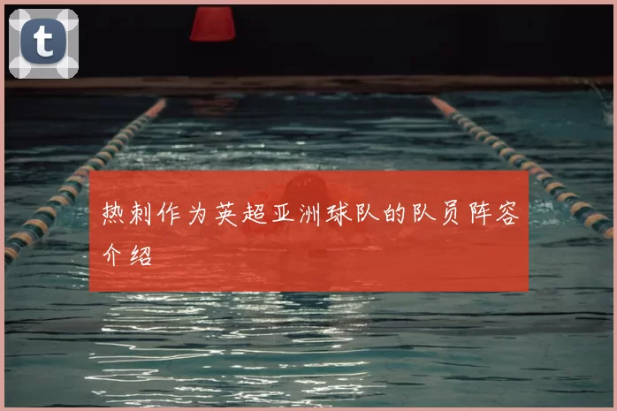 热刺作为英超亚洲球队的队员阵容介绍