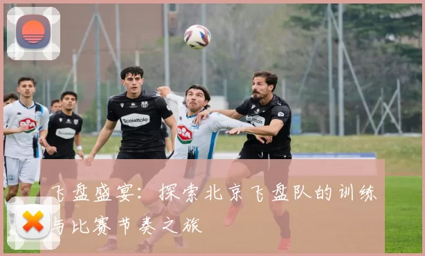 飞盘盛宴:探索北京飞盘队的训练与比赛节奏之旅