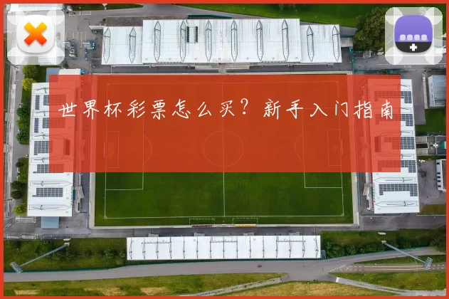 世界杯彩票怎么买?新手入门指南