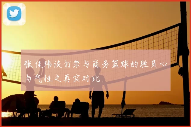 张佳玮谈打架与商务篮球的胜负心与气性之真实对比