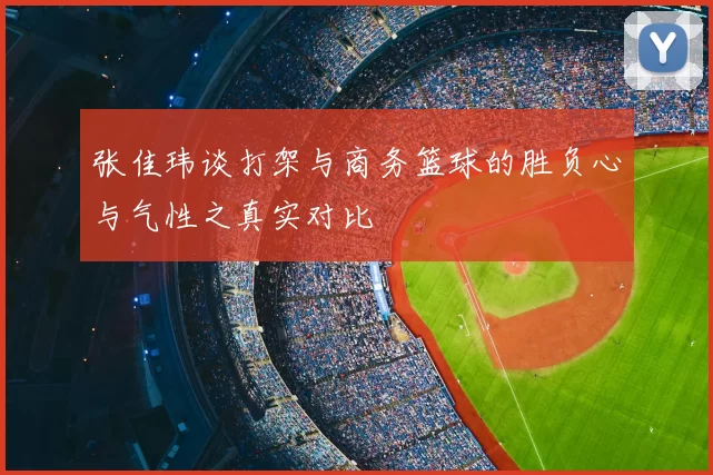 张佳玮谈打架与商务篮球的胜负心与气性之真实对比