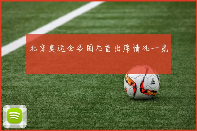 北京奥运会各国元首出席情况一览