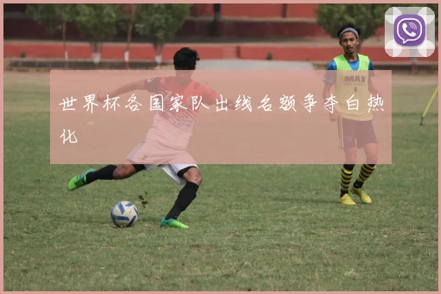 世界杯各国家队出线名额争夺白热化