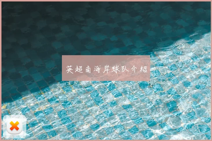 英超南海岸球队介绍