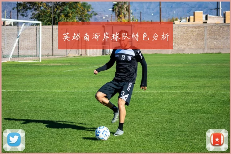 英超南海岸球队特色分析