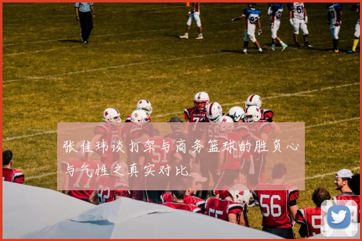 张佳玮谈打架与商务篮球的胜负心与气性之真实对比