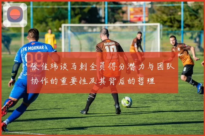 张佳玮谈马刺全员得分潜力与团队协作的重要性及其背后的哲理