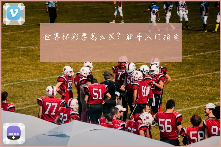 世界杯彩票怎么买?新手入门指南