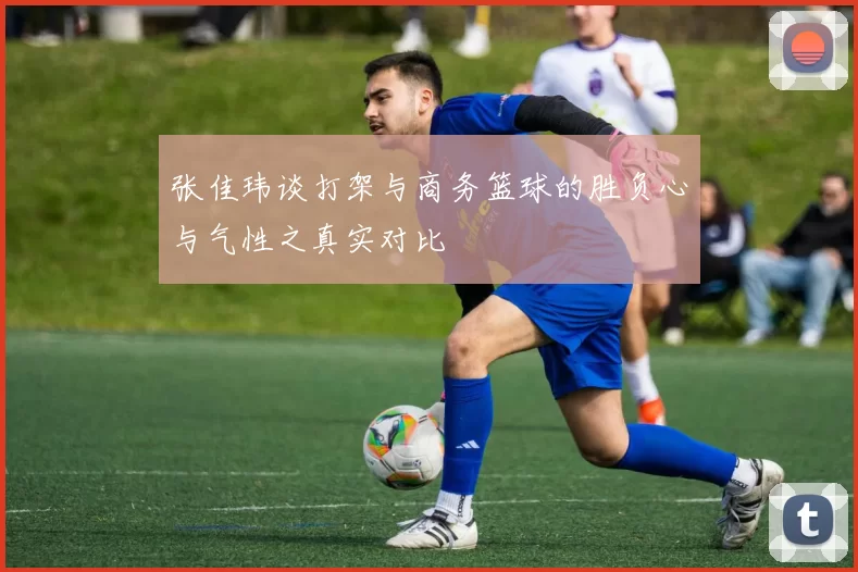 张佳玮谈打架与商务篮球的胜负心与气性之真实对比