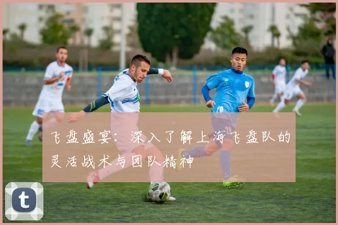 飞盘盛宴:深入了解上海飞盘队的灵活战术与团队精神