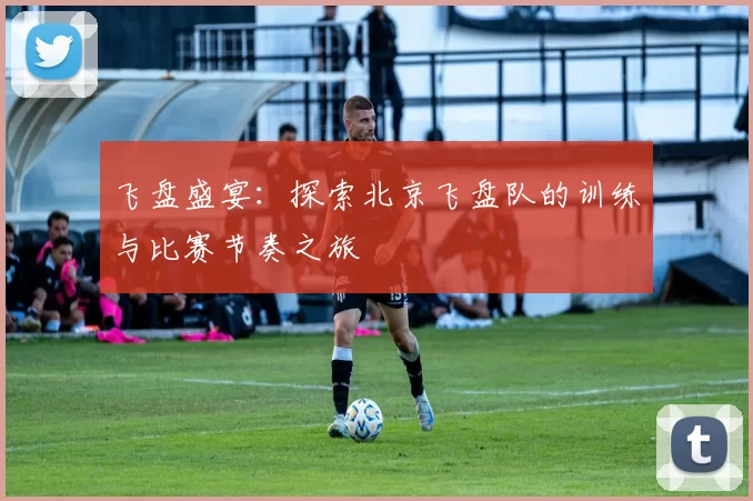 飞盘盛宴:探索北京飞盘队的训练与比赛节奏之旅