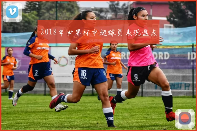 2018年世界杯中超球员表现盘点
