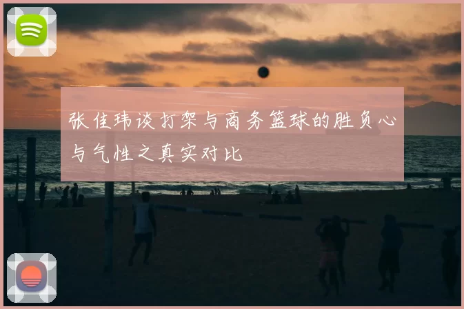 张佳玮谈打架与商务篮球的胜负心与气性之真实对比